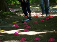 ilustrativní fotografie