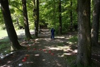 ilustrativní fotografie