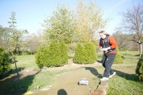 ilustrativní fotografie