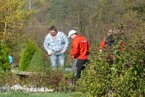 ilustrativní fotografie