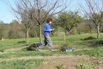 ilustrativní fotografie