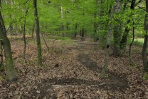 ilustrativní fotografie