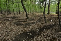 ilustrativní fotografie