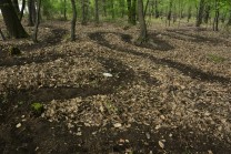 ilustrativní fotografie