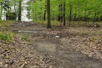 ilustrativní fotografie