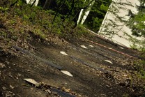 ilustrativní fotografie