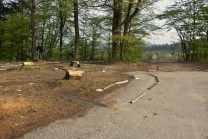 ilustrativní fotografie