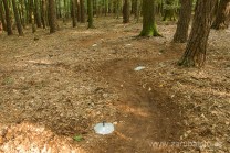 ilustrativní fotografie